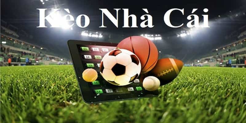 Soi kèo cược tại nhà cái là điều được rất nhiều game thủ quan tâm